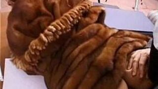 SEX ANAL IN FUR COAT porn video